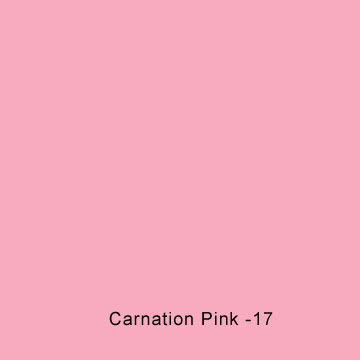 50-Carnation Pin_17