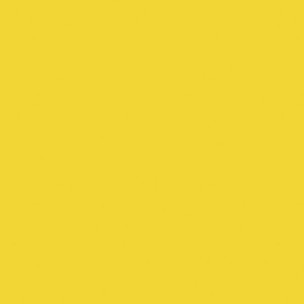 40-Forsythia-Yellow_14