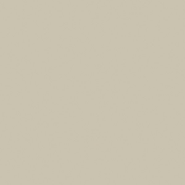 07-silvertone_30