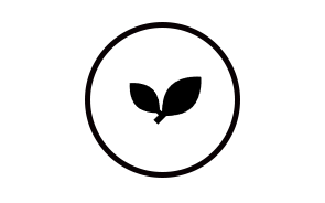 icon1