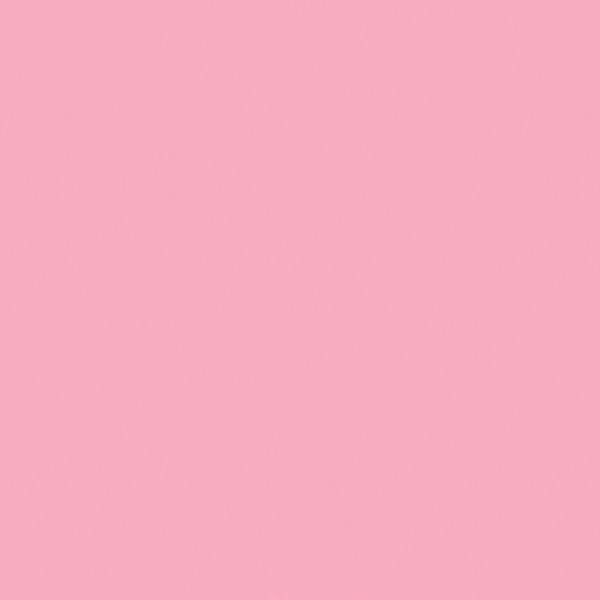 50-Carnation-Pin_17